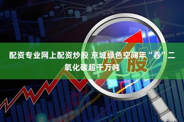 配资专业网上配资炒股 京城绿色空间年“吞”二氧化碳超千万吨